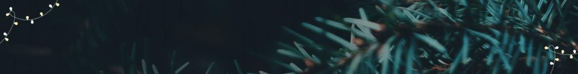 Jul banner